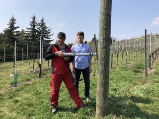Inspektion eines Strommasten in den Weinbergen in Stuttgart Untertürkheim im April 2019. Der Dienstleister der Stuttgart Netze, die Firma Heinz Kremer Mastenschutz, prüft die Masten unter anderem auf Ihre Standfestigkeit und auf Beschädigungen. Inspektion eines Strommasten in den Weinbergen in Stuttgart Untertürkheim im April 2019. Der Dienstleister der Stuttgart Netze, die Firma Heinz Kremer Mastenschutz, prüft die Masten unter anderem auf Ihre Standfestigkeit und auf Beschädigungen.