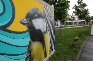 20210518_SN_PM_Graffiti_Haldenrain (1).JPG