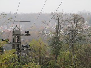 Die letzte Mittelspannungs-Freileitung Stuttgarts verläuft im Stadtteil Dachswald und überquert die Bahngleise der Gäubahn. MS_Freileitung_Dachswald
